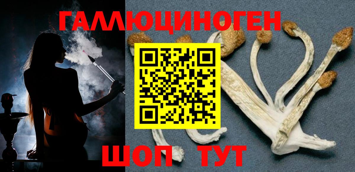 Галлюциногенные грибы мухоморы  Вход с VPN  Фролово 