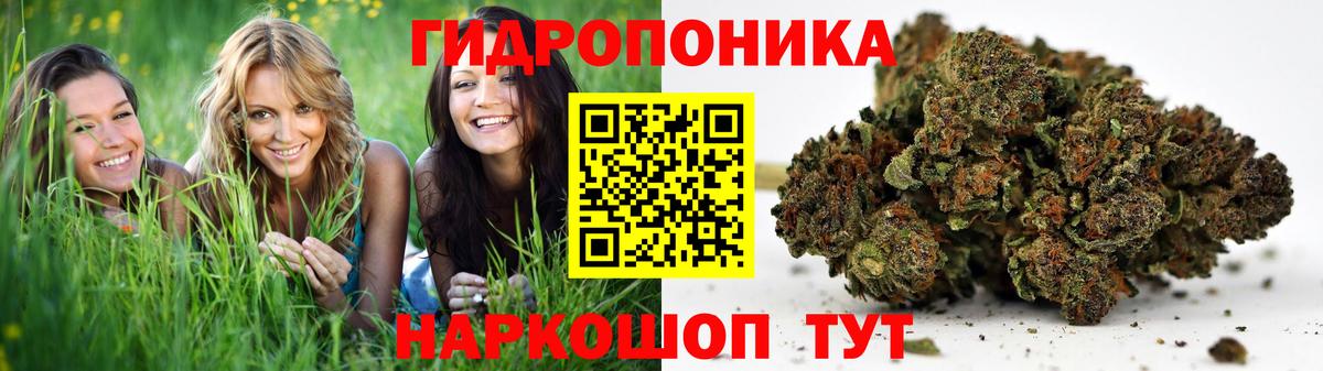 Бошки Шишки MAZAR  Каннабис Amnesia  Вход с VPN  Марихуана Bruce Banner  Фролово 